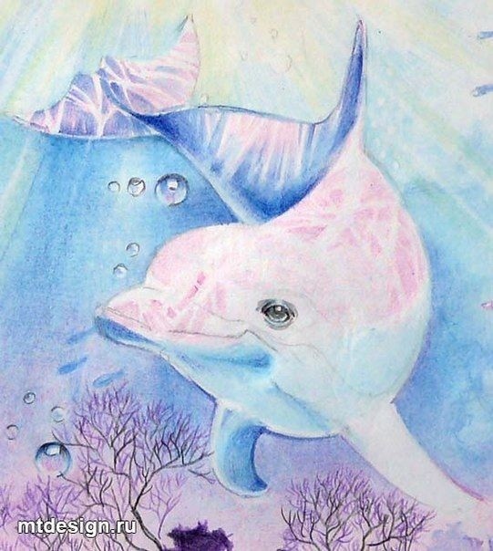 ​Рисуем с детьми дельфина