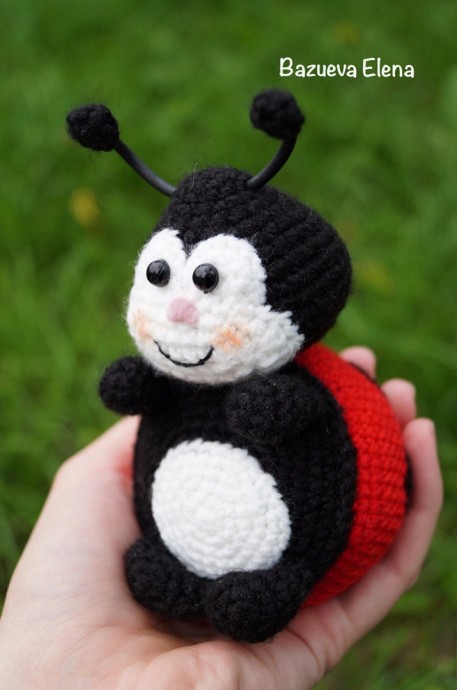 ​Божья коровка