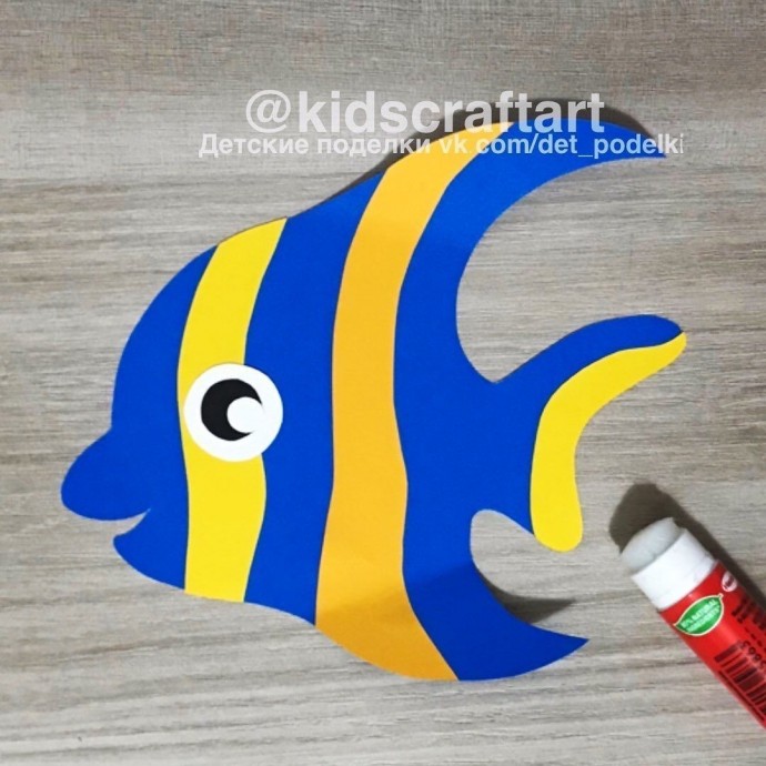 Тропическая рыбка скалярия Тропическая рыбка скалярия