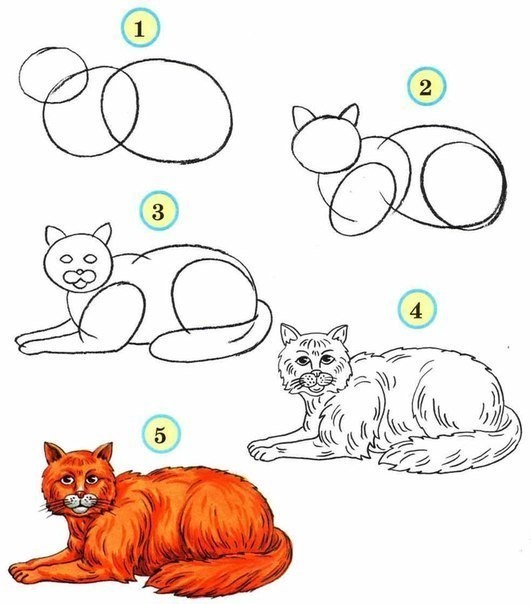 ​Уроки рисования: домашние животные