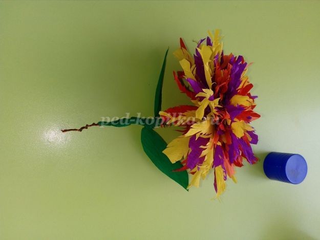 ​Изготовление цветка Майора из гофрированной бумаги: часть 2