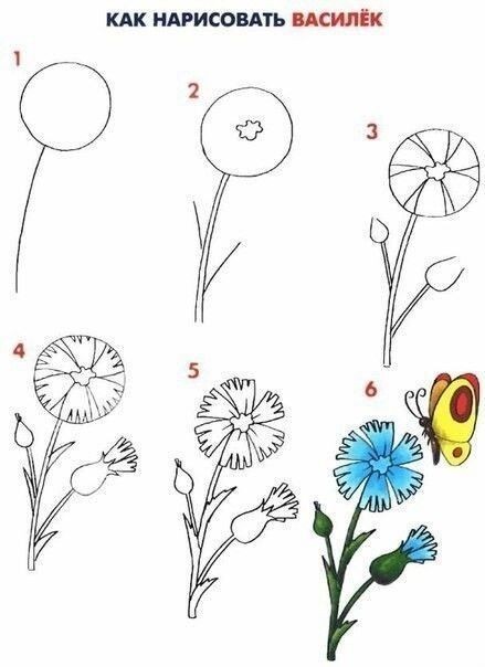 Пошаговые уроки рисования растений