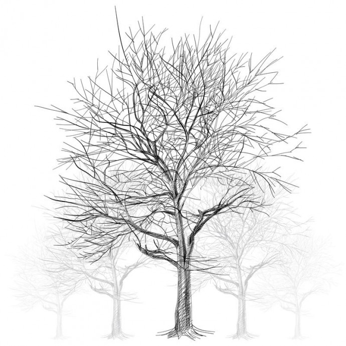 Рисуем листву дерева отпечатками пальцев Рисуем листву дерева отпечатками пальцев