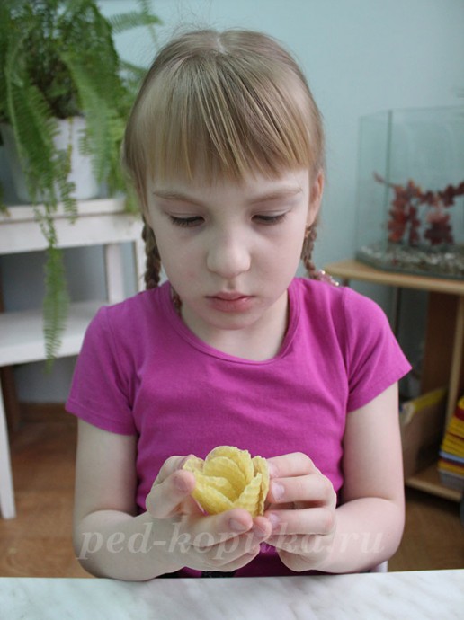 Весенние цветы Весенние цветы