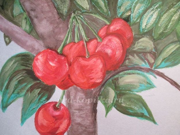 Ветка вишни: часть 2 Ветка вишни: часть 2