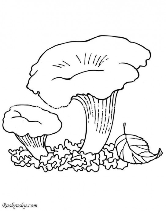 ​Аппликации с грибами