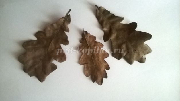 Осень наступила