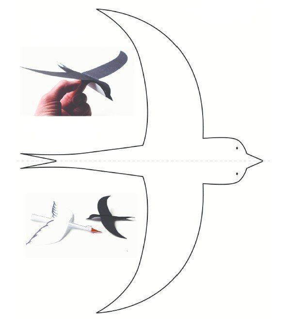 Шаблоны летающих птиц