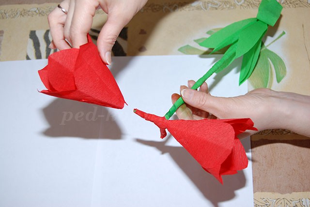 Цветы из крепированной бумаги: часть 4 Цветы из крепированной бумаги: часть 4