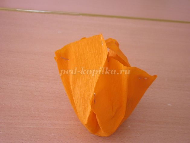 Солнышко из семян ясеня детскими руками: часть 1