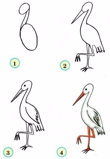 Как нарисовать птиц с детьми