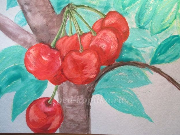 Ветка вишни: часть 2 Ветка вишни: часть 2