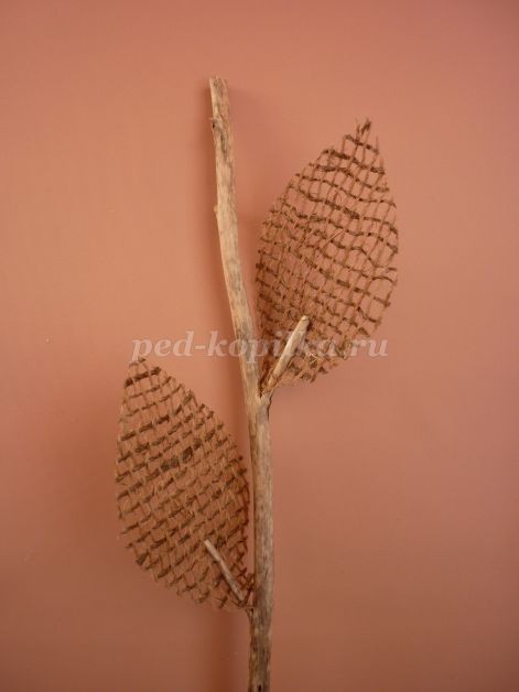 Цветы из тыквенных семечек детскими руками: мастер-класс Цветы из тыквенных семечек детскими руками: мастер-класс