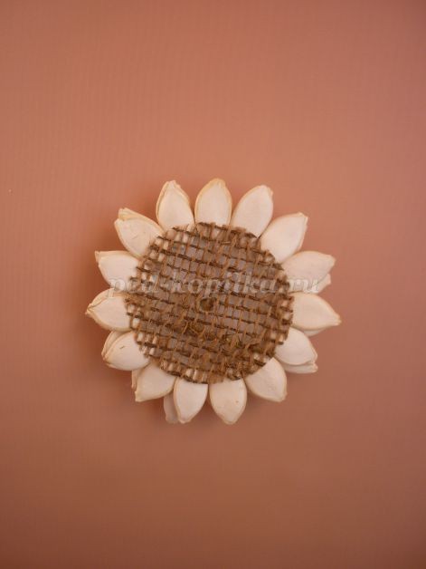 Цветы из тыквенных семечек детскими руками: мастер-класс Цветы из тыквенных семечек детскими руками: мастер-класс