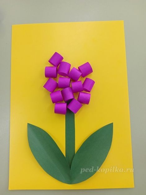 Цветок гиацинт: часть 3