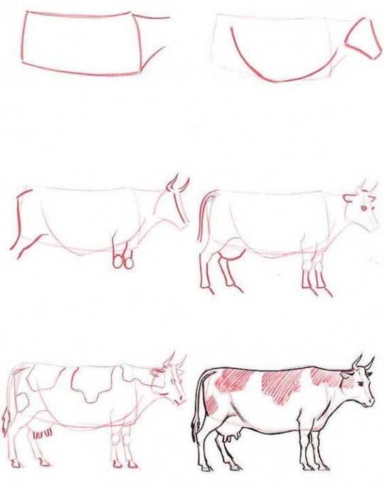 ​Рисуем с детьми коровушек
