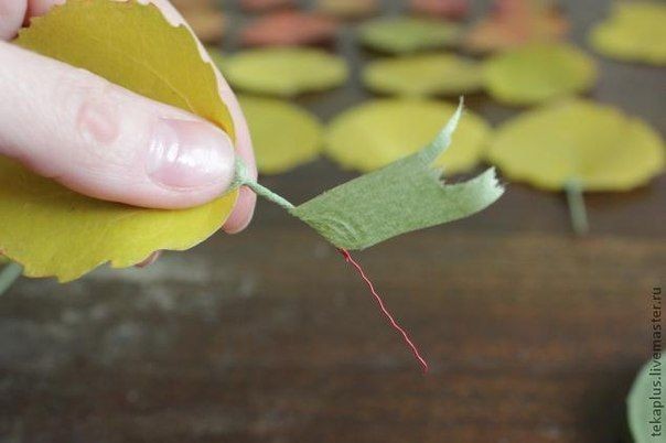 Розочки из листиков Розочки из листиков