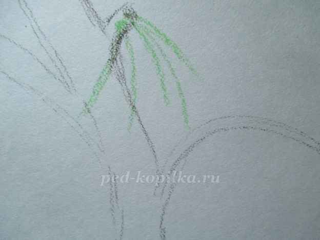 Ветка вишни: часть 1