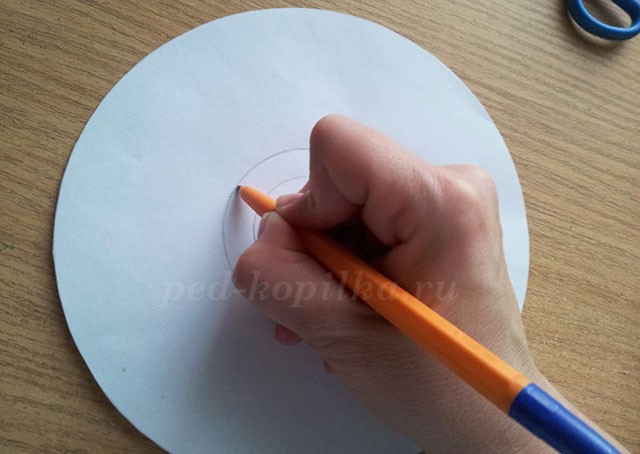 Большие ромашки