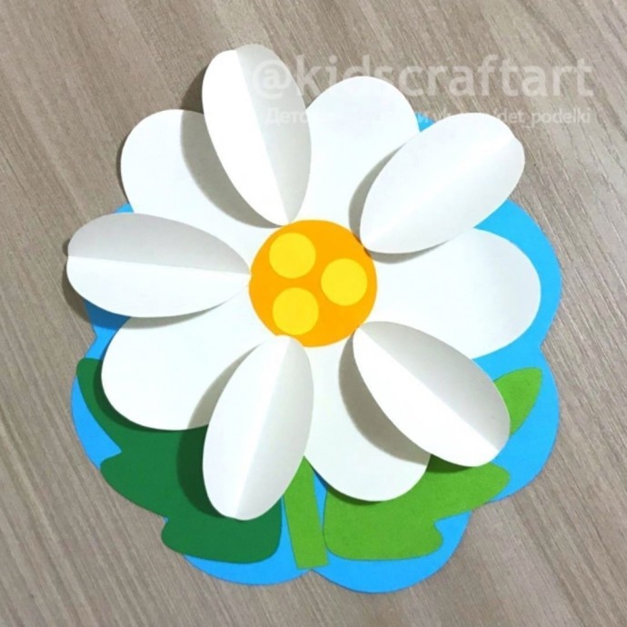 Ромашка с белыми лепестками и жёлтой серединкой