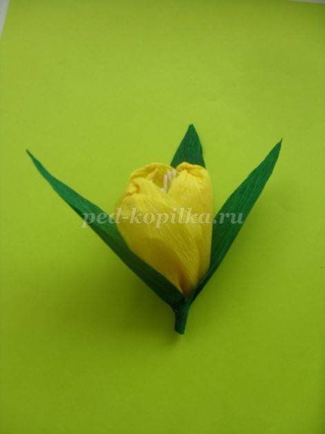 Корзина с крокусами: мастер-класс, часть 2