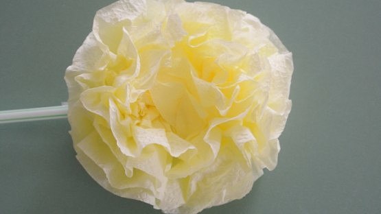 Пышные цветы из салфеток Пышные цветы из салфеток