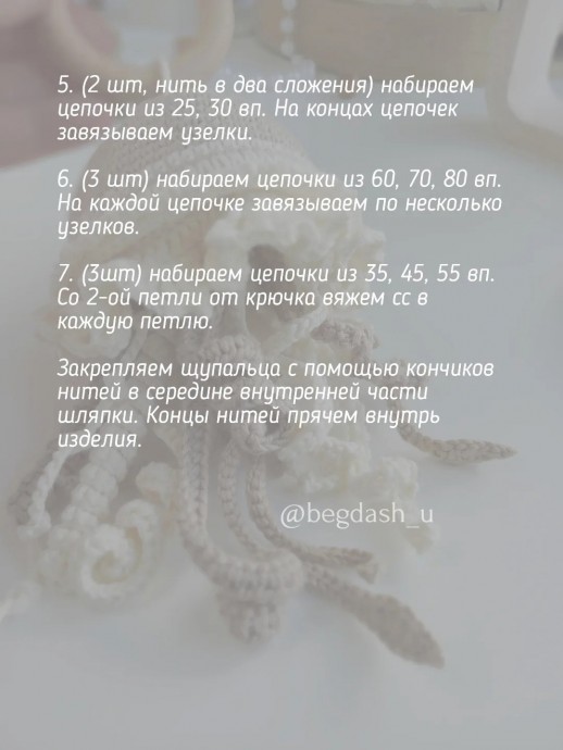 Шуршащая медуза Шуршащая медуза