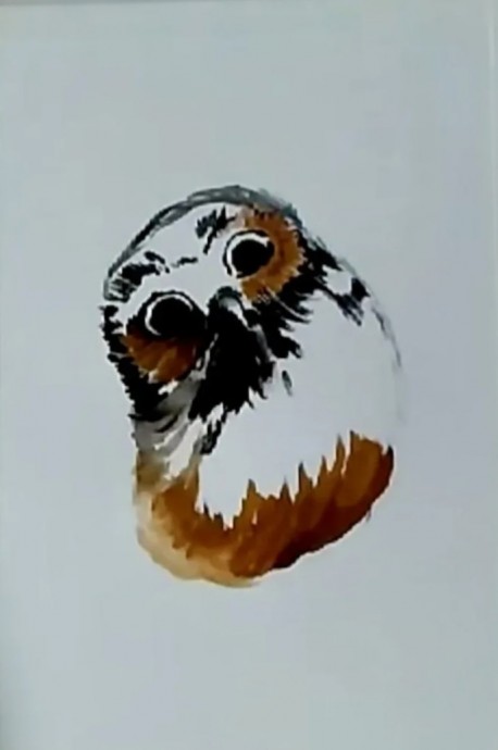 Сова на ели Сова на ели