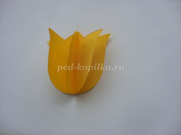 Объёмная открытка "Тюльпан": мастер-класс, часть 1