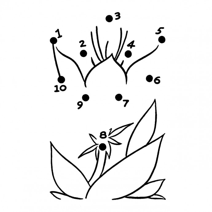 ​Рисуем по точкам