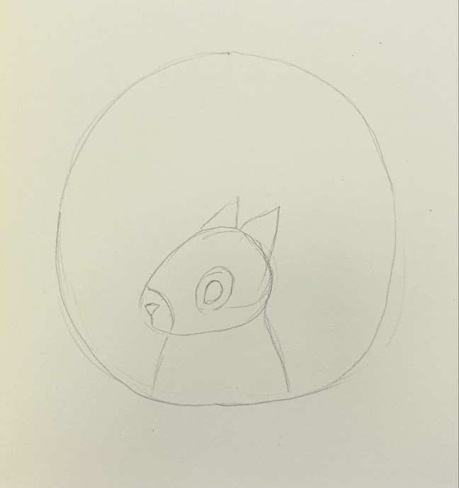 ​Белка в дупле