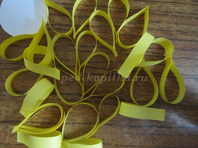Цветы из бумажных полосок Цветы из бумажных полосок