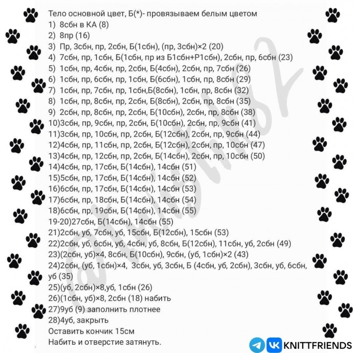 Котик Котик