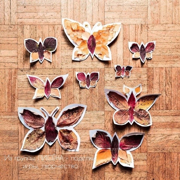 Осенние бабочки