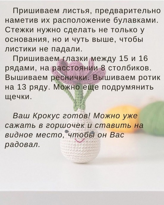 Весенние крокусы Весенние крокусы