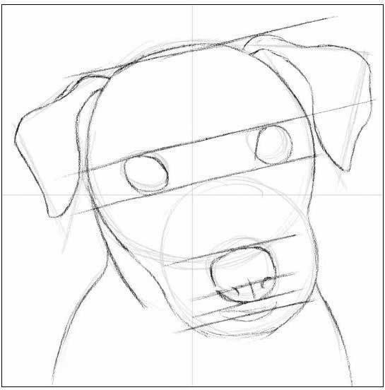 ​Рисуем собаку карандашом