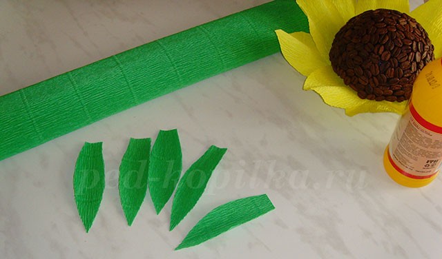 Как сделать подсолнух из кофейных зерен Как сделать подсолнух из кофейных зерен