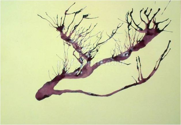 Рисование в нетрадиционной технике + полуобъёмная аппликация: часть 1 Рисование в нетрадиционной технике + полуобъёмная аппликация: часть 1