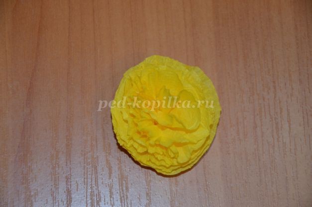 Мой любимый попугай