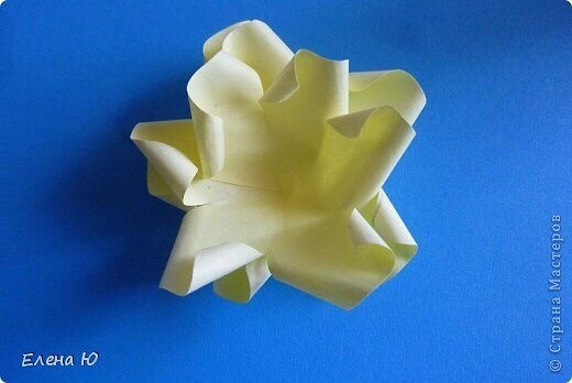 Объемные розы из бумаги Объемные розы из бумаги