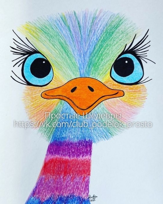 Очаровательный страус Очаровательный страус