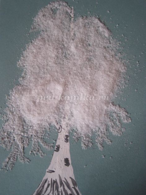 Береза в зимнем уборе: часть 2 Береза в зимнем уборе: часть 2