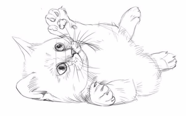 Рисуем котёнка карандашом