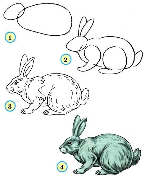 ​Рисуем с детьми кролика