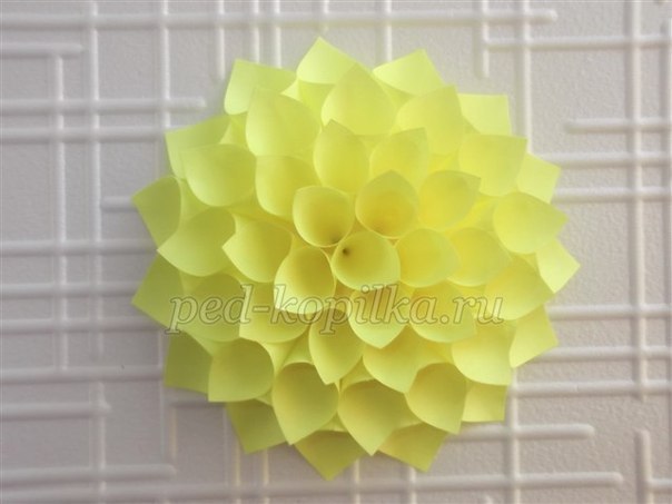Цветы из бумаги: мастер-класс Цветы из бумаги: мастер-класс