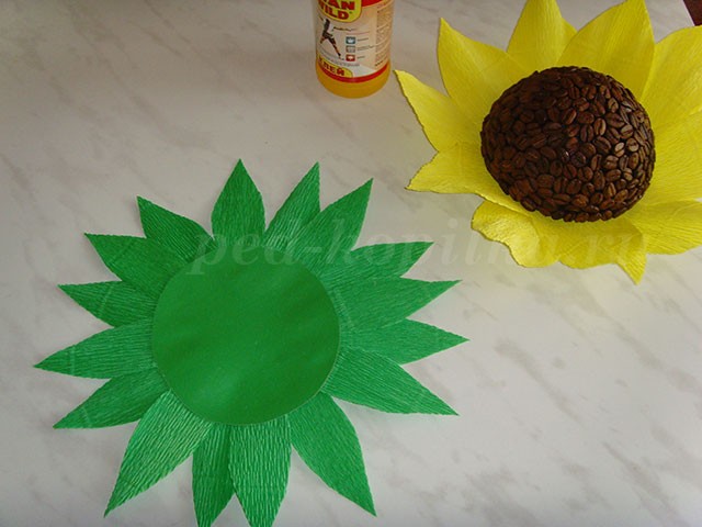 Как сделать подсолнух из кофейных зерен Как сделать подсолнух из кофейных зерен
