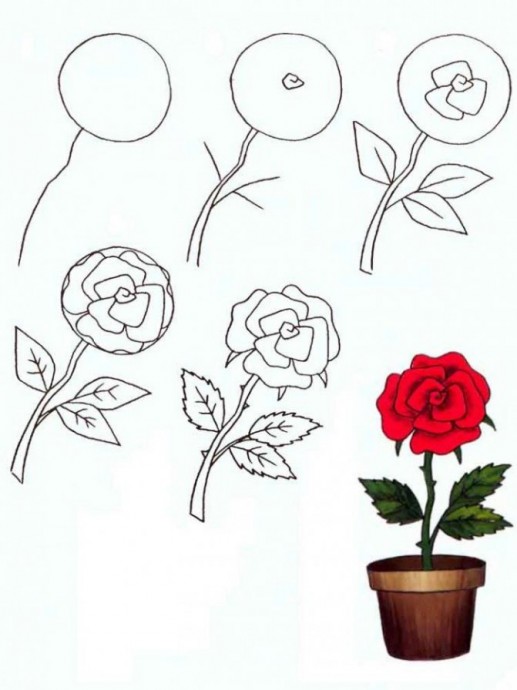 ​Рисуем с детьми цветочки