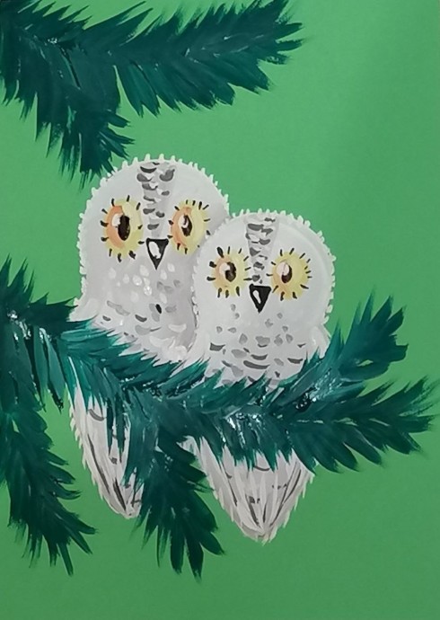 Зимние совы