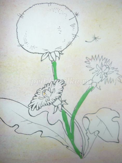 Одуванчик из пластилина