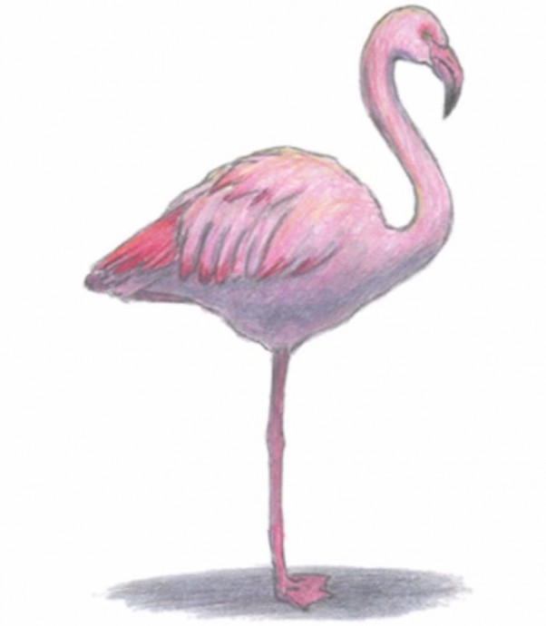 Рисуем фламинго